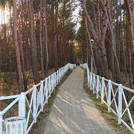 Pensionat Przylesie7