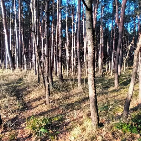 Przylesie7 Pensionat 3*